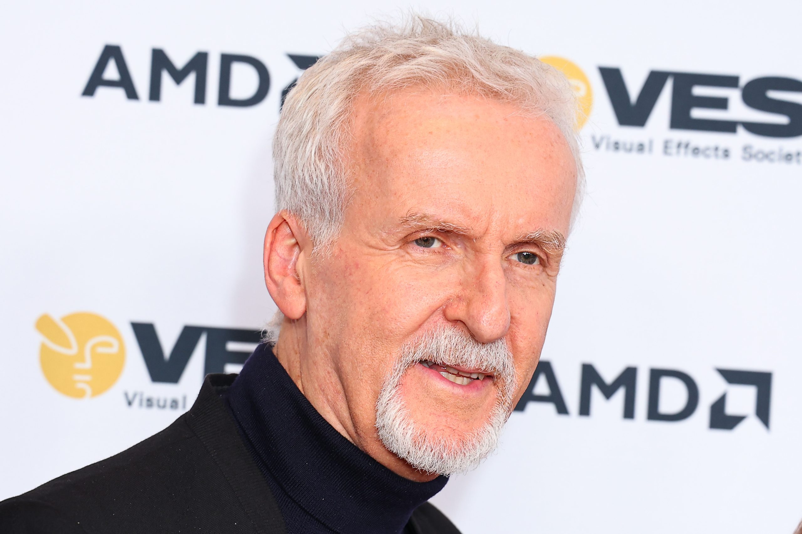 James Cameron at the 21st Annual VES Awards
